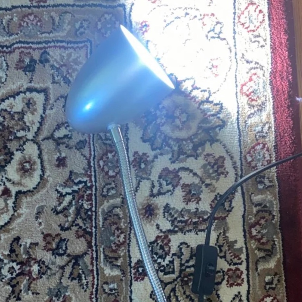 Light